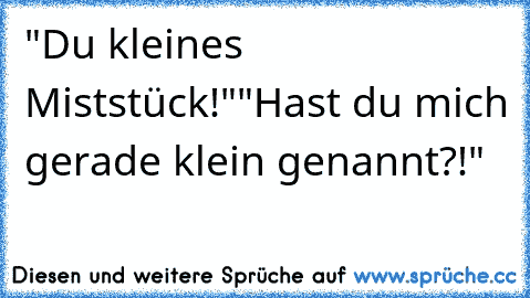 "Du kleines Miststück!"
"Hast du mich gerade klein genannt?!"