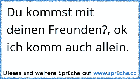 Du kommst mit deinen Freunden?, ok ich komm auch allein.