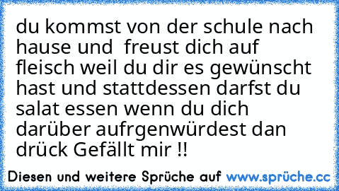 du kommst von der schule nach hause und  freust dich auf fleisch weil du dir es gewünscht hast und stattdessen darfst du salat essen 
wenn du dich darüber aufrgenwürdest dan drück Gefällt mir !!