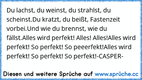 Du lachst, du weinst, du strahlst, du scheinst.
Du kratzt, du beißt, Fastenzeit vorbei.
Und wie du brennst, wie du fällst.
Alles wird perfekt! Alles! Alles!
Alles wird perfekt! So perfekt! So peeerfekt!
Alles wird perfekt! So perfekt! So perfekt!
-CASPER-