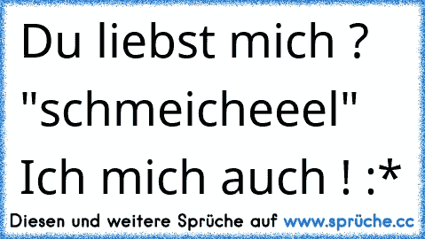 Du liebst mich ? "schmeicheeel" Ich mich auch ! :*