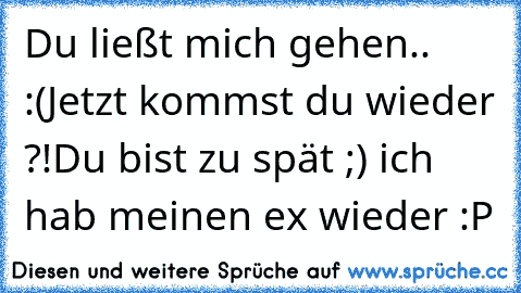 Du ließt mich gehen..  :(
Jetzt kommst du wieder ?!
Du bist zu spät ;) ich hab meinen ex wieder :P