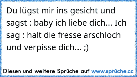 Du lügst mir ins gesicht und sagst : baby ich liebe dich... 
Ich sag : halt die fresse arschloch und verpisse dich... ;)