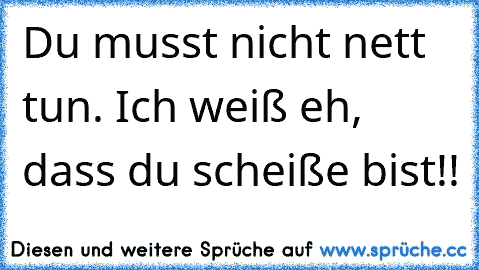 Du musst nicht nett tun. Ich weiß eh, dass du scheiße bist!!