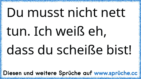 Du musst nicht nett tun. Ich weiß eh, dass du scheiße bist!