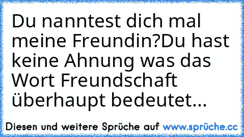 Du nanntest dich mal meine Freundin?
Du hast keine Ahnung was das Wort Freundschaft überhaupt bedeutet...