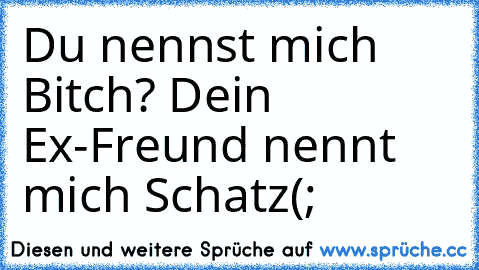 Du nennst mich Bitch? Dein Ex-Freund nennt mich Schatz(;