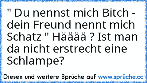 " Du nennst mich Bitch - dein Freund nennt mich Schatz " Hääää ? Ist man da nicht erstrecht eine Schlampe?