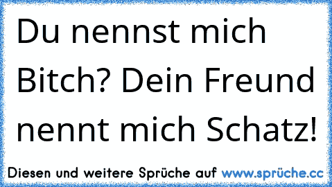 Du nennst mich Bitch? Dein Freund nennt mich Schatz!