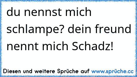 du nennst mich schlampe? dein freund nennt mich Schadz!