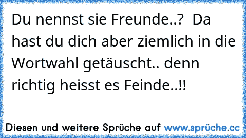 Du nennst sie Freunde..?  Da hast du dich aber ziemlich in die Wortwahl getäuscht.. denn richtig heisst es Feinde..!!