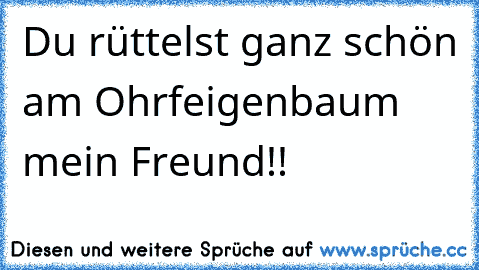 Du rüttelst ganz schön am Ohrfeigenbaum mein Freund!!