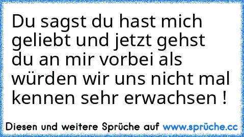 Du sagst du hast mich geliebt und jetzt gehst du an mir vorbei als würden wir uns nicht mal kennen sehr erwachsen !