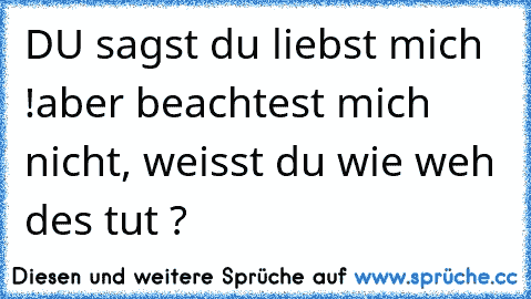 DU sagst du liebst mich !
aber beachtest mich nicht, weisst du wie weh des tut ?