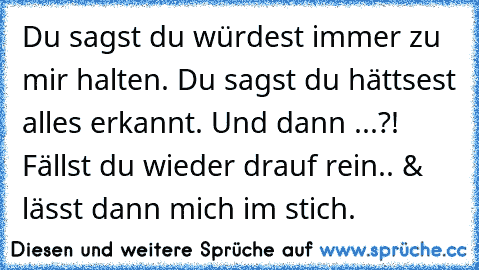 Du sagst du würdest immer zu mir halten. Du sagst du hättsest alles erkannt. Und dann ...?! Fällst du wieder drauf rein.. & lässt dann mich im stich.