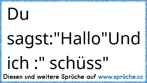 Du sagst:"Hallo"
Und ich :" schüss"