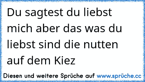 Du sagtest du liebst mich aber das was du liebst sind die nutten auf dem Kiez  ☢