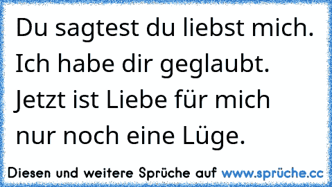 Du sagtest du liebst mich. Ich habe dir geglaubt. Jetzt ist Liebe für mich nur noch eine Lüge.