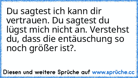 Du sagtest ich kann dir vertrauen. Du sagtest du lügst mich nicht an. Verstehst du, dass die entäuschung so noch größer ist?.