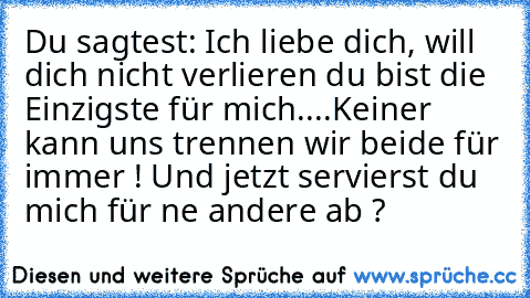 Du sagtest: Ich liebe dich, will dich nicht verlieren du bist die Einzigste für mich....Keiner kann uns trennen wir beide für immer ! 
Und jetzt servierst du mich für ne andere ab ?