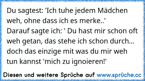 Du sagtest: 'Ich tuhe jedem Mädchen weh, ohne dass ich es merke..'      Darauf sagte ich: ' Du hast mir schon oft weh getan, das stehe ich schon durch... doch das einzige mit was du mir weh tun kannst 'mich zu ignoieren!'