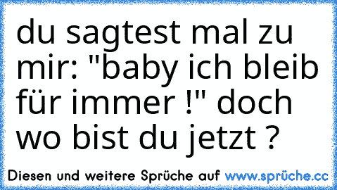 du sagtest mal zu mir: "baby ich bleib für immer !" doch wo bist du jetzt ?