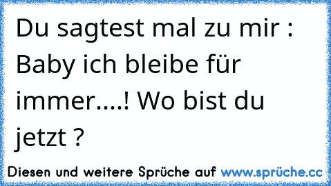 Du sagtest mal zu mir : Baby ich bleibe für immer....! Wo bist du jetzt ?