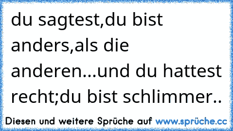 du sagtest,du bist anders,als die anderen...und du hattest recht;du bist schlimmer..