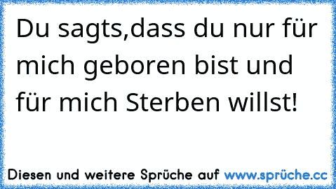 Du sagts,dass du nur für mich geboren bist und für mich Sterben willst!