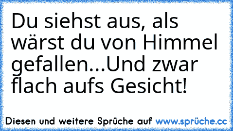 Du siehst aus, als wärst du von Himmel gefallen...Und zwar flach aufs Gesicht!