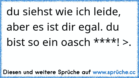 du siehst wie ich leide, aber es ist dir egal. du bist so ein oasch ****! >.