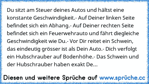 Du sitzt am Steuer deines Autos und hältst eine konstante Geschwindigkeit.
- Auf Deiner linken Seite befindet sich ein Abhang.
- Auf Deiner rechten Seite befindet sich ein Feuerwehrauto und fährt die
gleiche Geschwindigkeit wie Du.
- Vor Dir reitet ein Schwein, das eindeutig grösser ist als Dein Auto.
- Dich verfolgt ein Hubschrauber auf Bodenhöhe.
- Das Schwein und der Hubschrauber haben exakt...