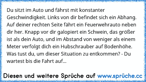 Du sitzt im Auto und fährst mit konstanter Geschwindigkeit. Links von dir befindet sich ein Abhang. Auf deiner rechten Seite fährt ein Feuerwehrauto neben dir her. Knapp vor dir galopiert ein Schwein, das größer ist als dein Auto, und im Abstand von weniger als einem Meter verfolgt dich ein Hubschrauber auf Bodenhöhe. Was tust du, um dieser Situation zu entkommen? - Du wartest bis die Fahrt auf...