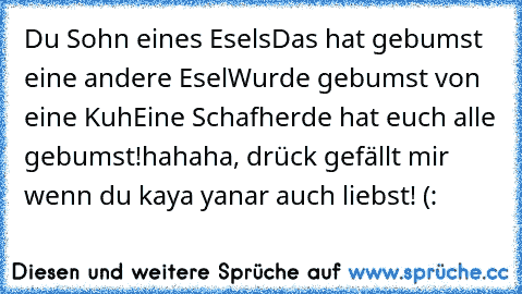 Du Sohn eines Esels
Das hat gebumst  eine andere Esel
Wurde gebumst von eine Kuh
Eine Schafherde hat euch alle gebumst!
hahaha, drück gefällt mir wenn du kaya yanar auch liebst! (: