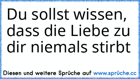 Du sollst wissen, dass die Liebe zu dir niemals stirbt ♥