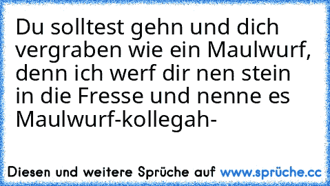 Du solltest gehn und dich vergraben wie ein Maulwurf, denn ich werf dir nen stein in die Fresse und nenne es Maulwurf
-kollegah-