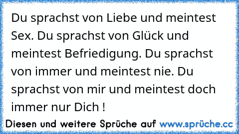 Du sprachst von Liebe und meintest Sex. Du sprachst von Glück und meintest Befriedigung. Du sprachst von immer und meintest nie. Du sprachst von mir und meintest doch immer nur Dich !