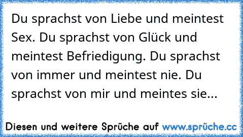 Du sprachst von Liebe und meintest Sex. Du sprachst von Glück und meintest Befriedigung. Du sprachst von immer und meintest nie. Du sprachst von mir und meintes sie...