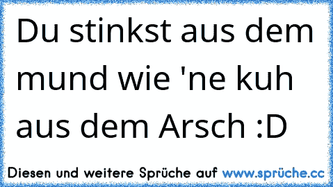 Du stinkst aus dem mund wie 'ne kuh aus dem Arsch :D