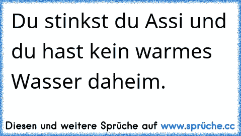 Du stinkst du Assi und du hast kein warmes Wasser daheim.