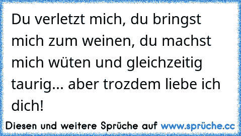 Du verletzt mich, du bringst mich zum weinen, du machst mich wüten und gleichzeitig taurig... aber trozdem liebe ich dich! ♥