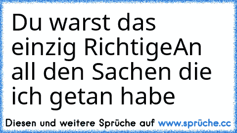 Du warst das einzig Richtige
An all den Sachen die ich getan habe