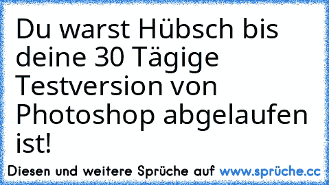 Du warst Hübsch bis deine 30 Tägige Testversion von Photoshop abgelaufen ist!