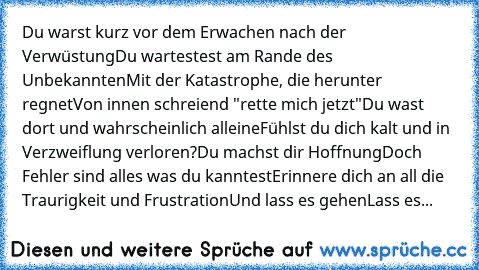 Du warst kurz vor dem Erwachen nach der Verwüstung
Du wartestest am Rande des Unbekannten
Mit der Katastrophe, die herunter regnet
Von innen schreiend "rette mich jetzt"
Du wast dort und wahrscheinlich alleine
Fühlst du dich kalt und in Verzweiflung verloren?
Du machst dir Hoffnung
Doch Fehler sind alles was du kanntest
Erinnere dich an all die Traurigkeit und Frustration
Und lass es gehen
Lass es...