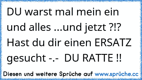 DU warst mal mein ein und alles ...und jetzt ?!? Hast du dir einen ERSATZ gesucht -.-  DU RATTE !!