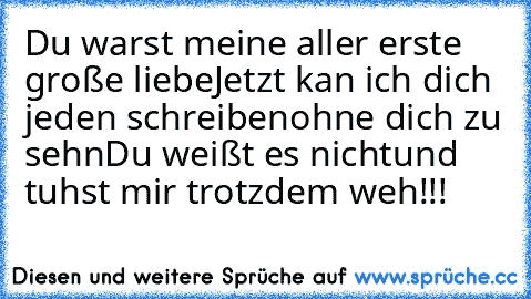 Du warst meine aller erste große liebe
Jetzt kan ich dich jeden schreiben
ohne dich zu sehn
Du weißt es nicht
und tuhst mir trotzdem weh!!!