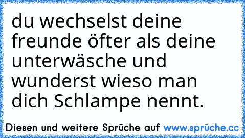 du wechselst deine freunde öfter als deine unterwäsche und wunderst wieso man dich Schlampe nennt.