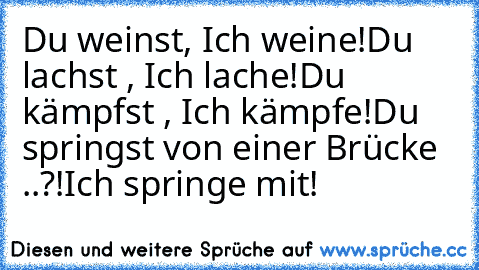 Du weinst, Ich weine!
Du lachst , Ich lache!
Du kämpfst , Ich kämpfe!
Du springst von einer Brücke ..?!
Ich springe mit! ♥