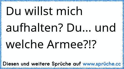 Du willst mich aufhalten? Du... und welche Armee?!?