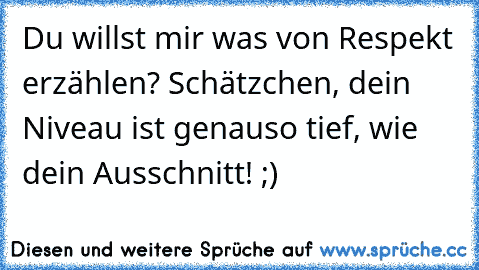 Du willst mir was von Respekt erzählen? Schätzchen, dein Niveau ist genauso tief, wie dein Ausschnitt! ;)